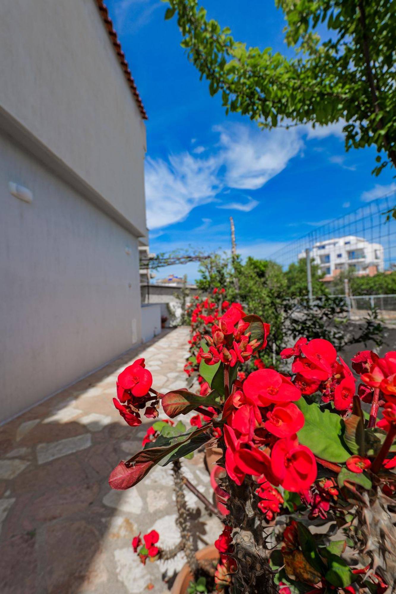 Guesthouse Moonlight Downtown Ksamil Exterior photo